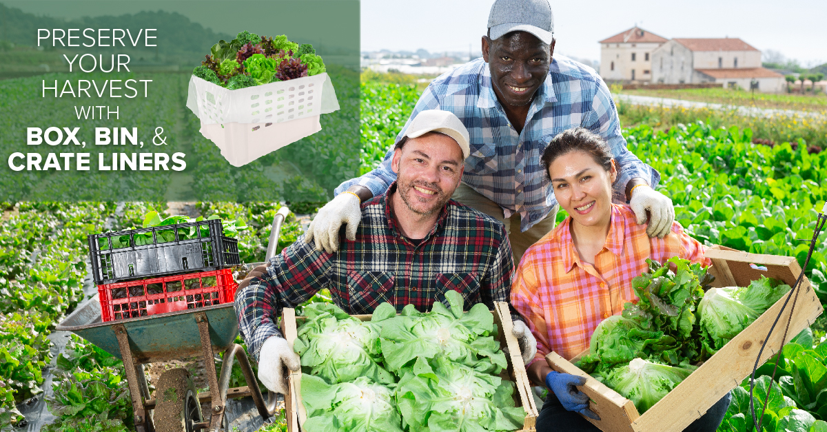 harvest season is here