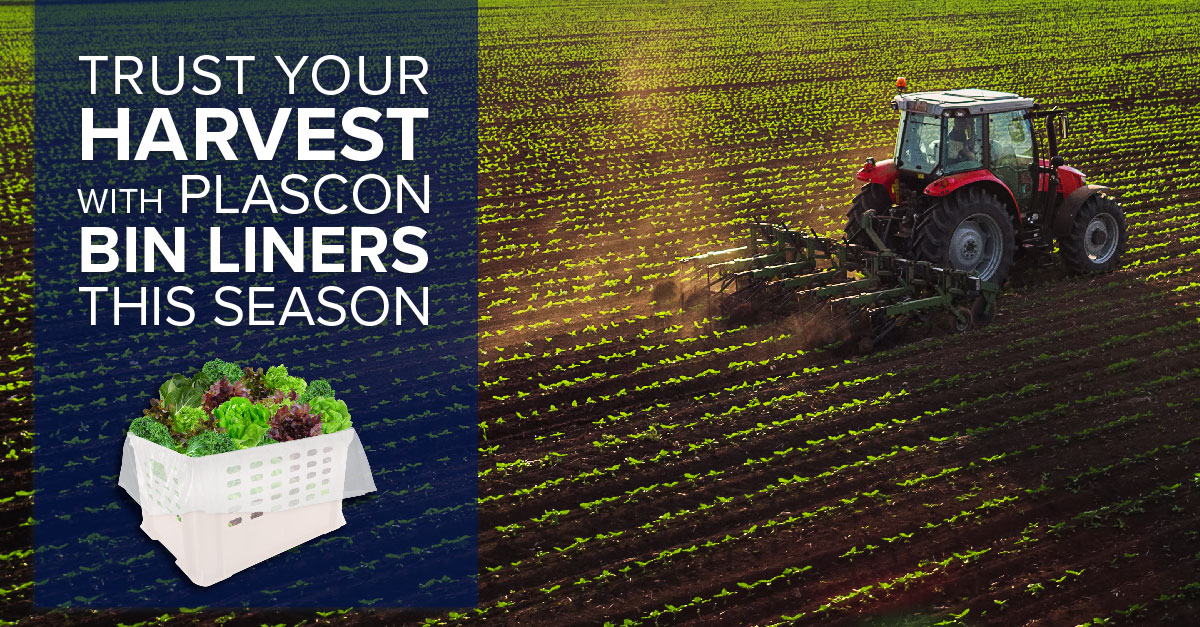 protect your harvest with Plascon box and bin liners